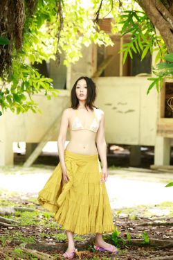 小说 h