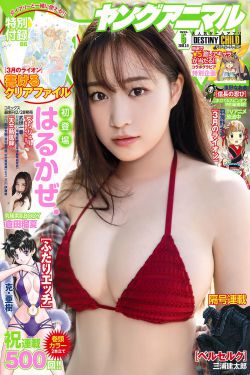 二炮手 电视剧